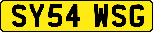 SY54WSG