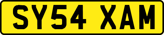 SY54XAM