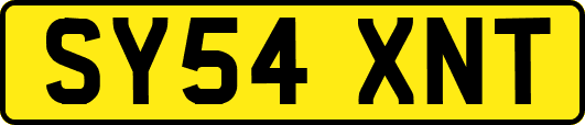 SY54XNT