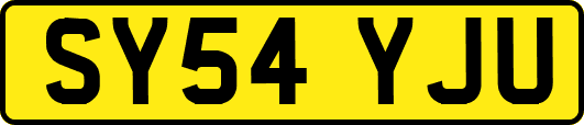 SY54YJU