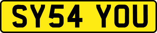SY54YOU