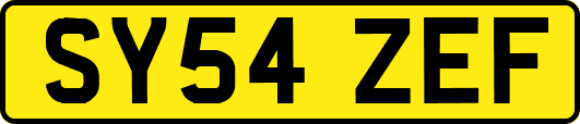 SY54ZEF