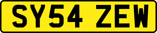 SY54ZEW