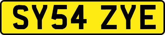 SY54ZYE