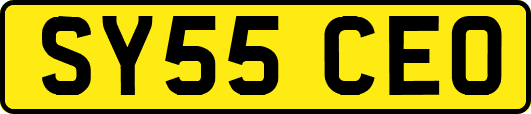 SY55CEO