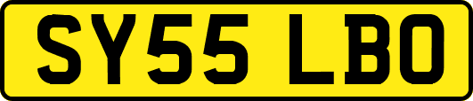 SY55LBO