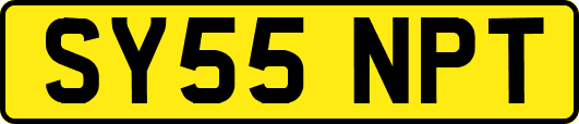 SY55NPT