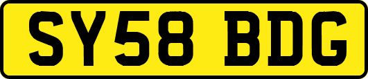 SY58BDG
