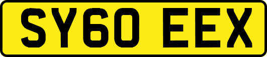 SY60EEX