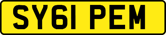 SY61PEM