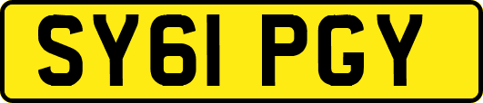 SY61PGY