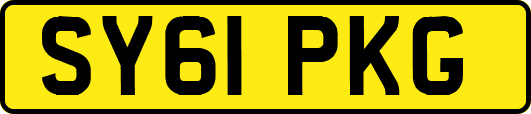 SY61PKG