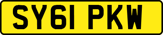 SY61PKW
