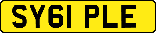 SY61PLE