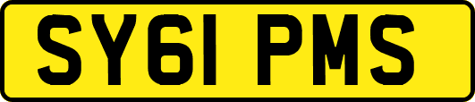 SY61PMS