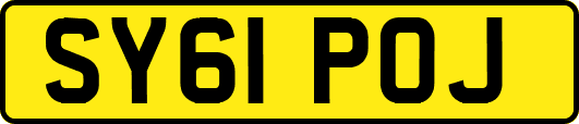 SY61POJ