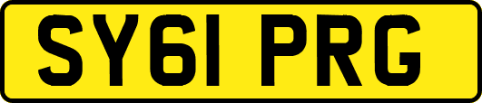 SY61PRG