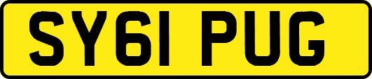 SY61PUG