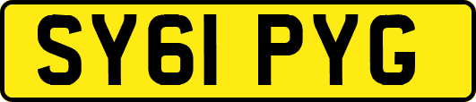 SY61PYG