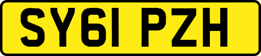 SY61PZH