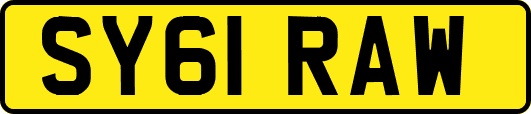 SY61RAW