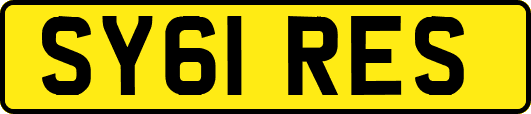 SY61RES