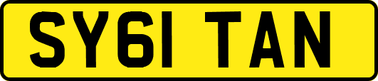 SY61TAN