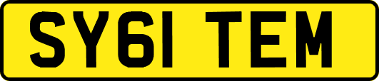 SY61TEM