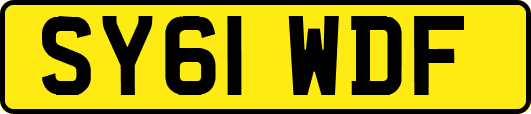 SY61WDF