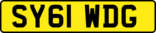 SY61WDG