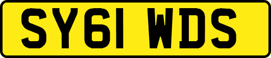 SY61WDS