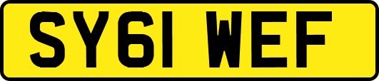 SY61WEF