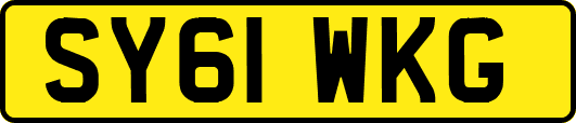 SY61WKG