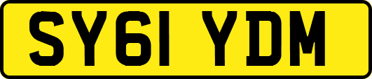 SY61YDM