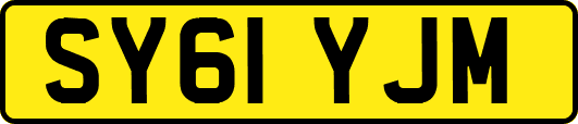 SY61YJM