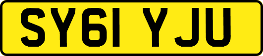 SY61YJU