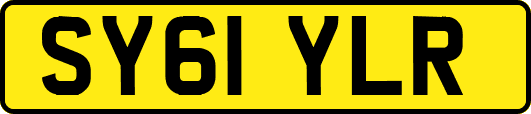 SY61YLR