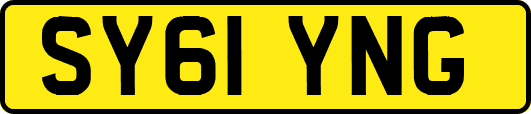 SY61YNG