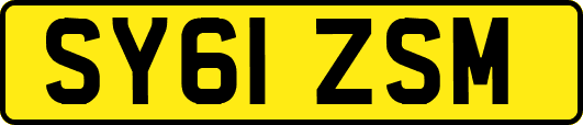 SY61ZSM