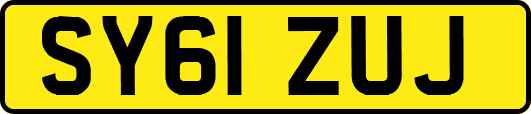 SY61ZUJ