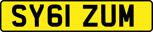 SY61ZUM