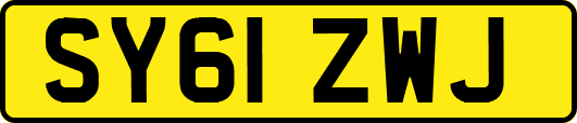 SY61ZWJ