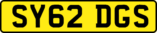 SY62DGS