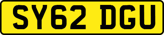 SY62DGU