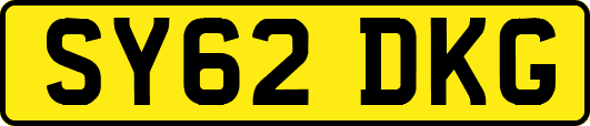 SY62DKG