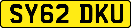 SY62DKU