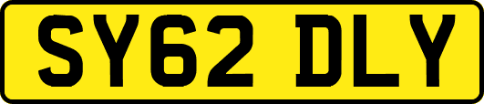 SY62DLY