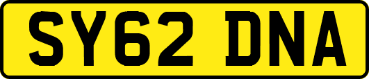 SY62DNA