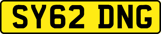 SY62DNG