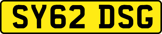 SY62DSG
